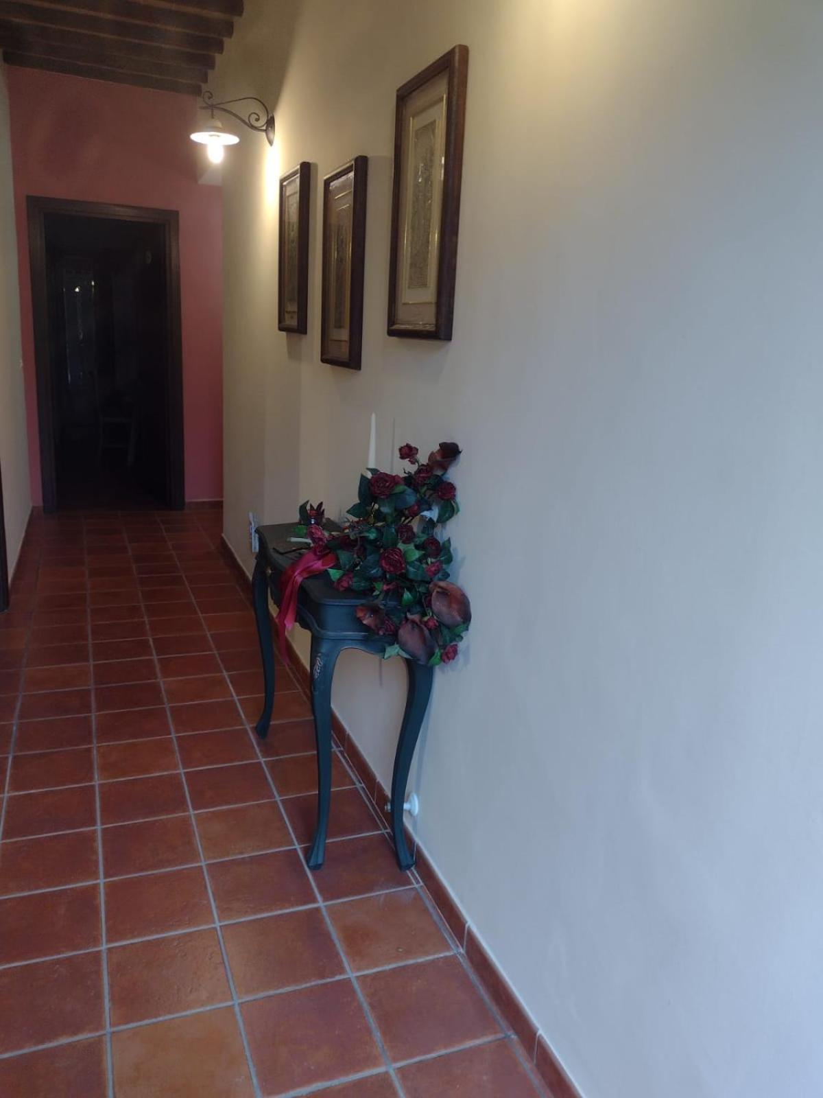 Villa Magda تودي المظهر الخارجي الصورة